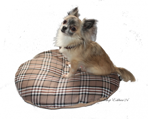 Hunde Liegekissen, Karlie