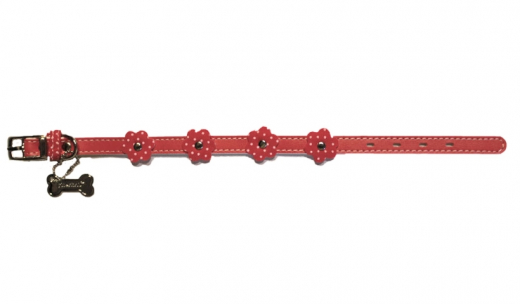 Halsband, rot, blüten