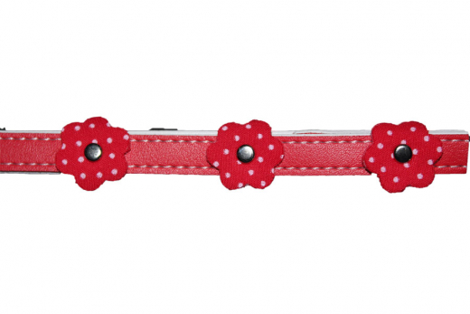 Halsband, sehr kleine Hunde,