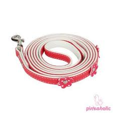 Hundeleine Pinkaholic