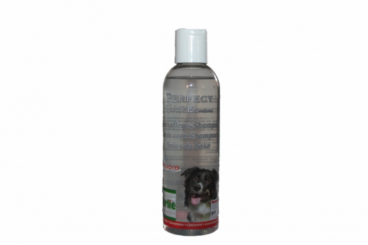 Hunde Basispflege Shampoo
